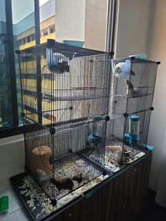 (Category: ) located in . Submitted by guest080320 (Listing ID 1360268772, Image 1). Description: .