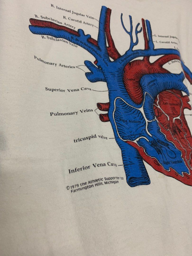 Vintage Medtronic Heart Anatomy 1979 Tee, Men's Fashion, Tops & Sets ...