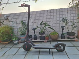 （分類：）位於 。 由 samjamliz 提交（商品編號 1360326843，圖片 1）。簡介： 。