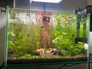 (Category: ) located in . Submitted by firdxus (Listing ID 1360531577, Image 1). Description: .
