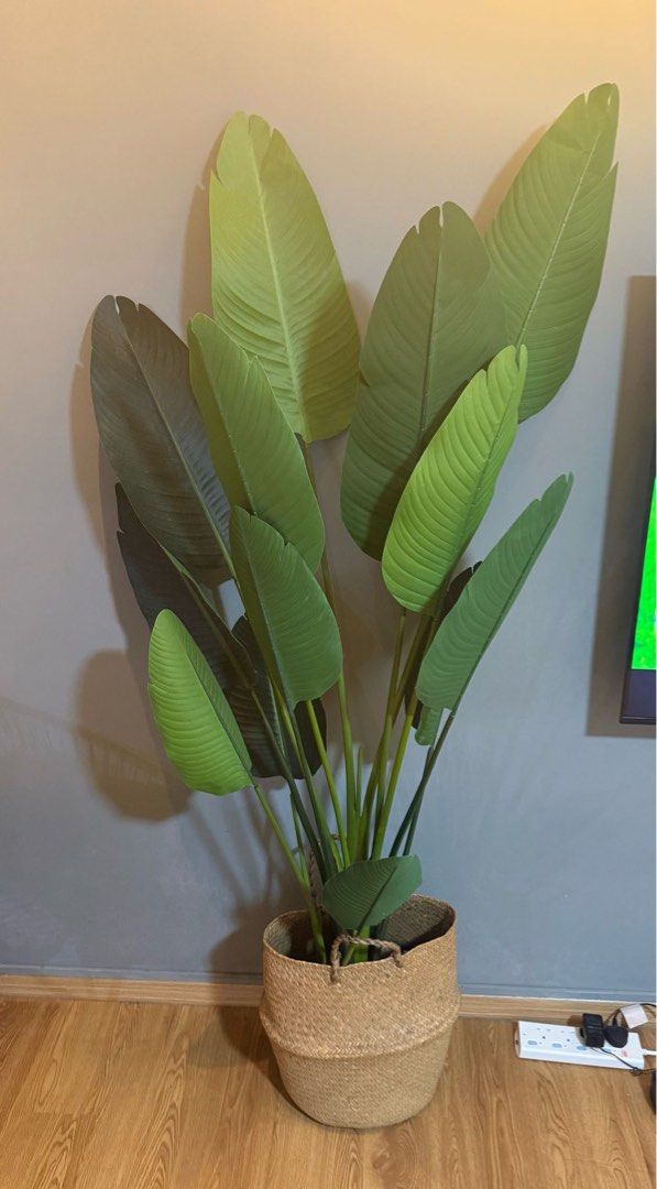 Artificial plants 180cm (left 1)