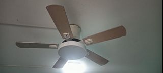 (Category: ) located in . Submitted by silent.killer07 (Listing ID 1360425516, Image 1). Description: .
