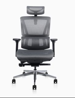 Ergonomic Office Chair (Ergo Home Ergo Flex)