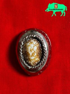 (Category: ) located in . Submitted by wildboartrading (Listing ID 1359055803, Image 1). Description: .
