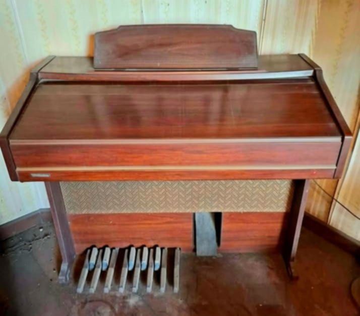 “2 UNITS BUNDLE PAIR” TECHNICS U60 ELECTRONIC ORGAN 220V VINTAGE LOCAL UNIT. (Category: Musical Instruments) located in Valenzuela. Submitted by gregferraren (Listing ID 1339656065, Image 3). Description: Great offer 2 units of U60! P8500 only. Seldom used Good cosmestic condition. Issue: low sound volume. Some keys not working. orchestra conductor semi working. Buttons, togle selectors, pedals, speakers all working. Note: take one U60 free, issu