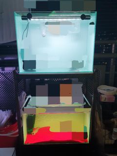 (Category: ) located in . Submitted by iamkingmai (Listing ID 1360714527, Image 1). Description: .