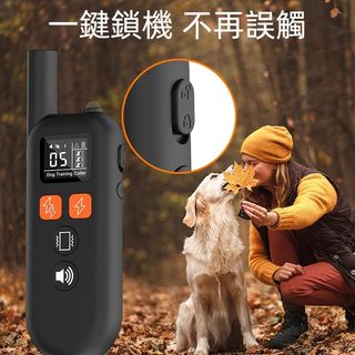 寵物・家居用品 Collection item 1