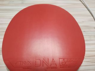 （分類：）位於 。 由 halie4 提交（商品編號 1360659769，圖片 1）。簡介： 。