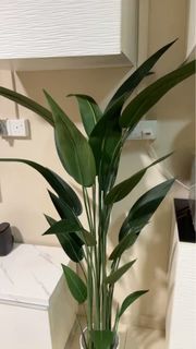 (Category: ) located in . Submitted by fredjoe (Listing ID 1360708134, Image 1). Description: .