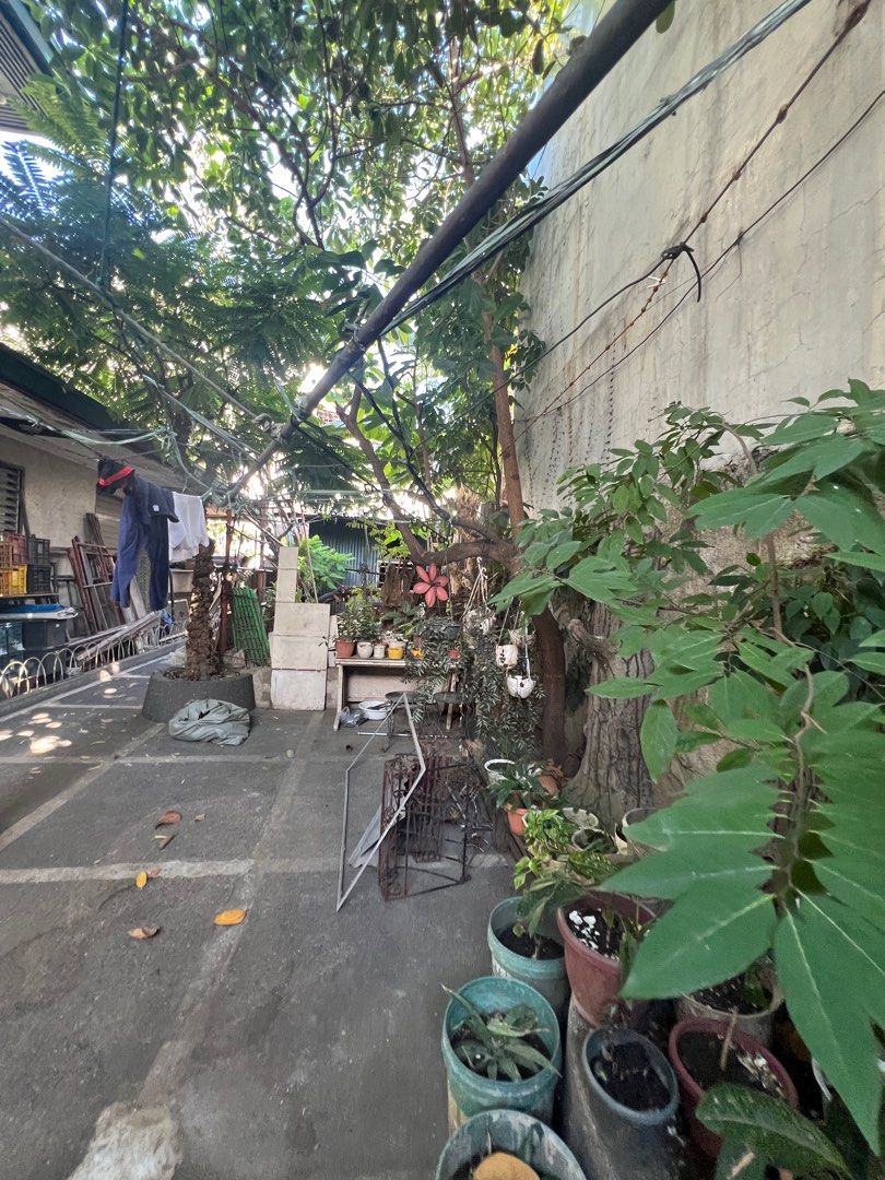 Kapitolyo Pasig House for Sale (Category: House & Lot) located in Taguig. Submitted by brokerhanstaneo_09178038728 (Listing ID 1360694499, Image 2). Description: Kapitolyo House and lot Lot size: 401 sqm 4 Bedrooms.