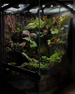 (Category: ) located in . Submitted by luklukzim (Listing ID 1360683419, Image 1). Description: .