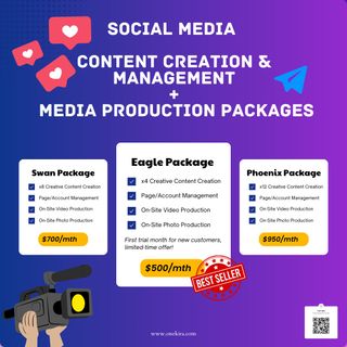 Social Media Marketing Services for Your Brand & Business Collection item 3