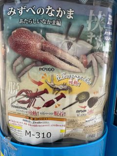 （分類：）位於 。 由 jojojo000 提交（商品編號 1360762136，圖片 1）。簡介： 。