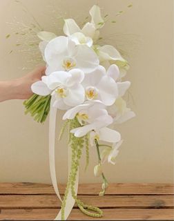 (Category: ) located in . Submitted by wgifts (Listing ID 1360803127, Image 1). Description: .