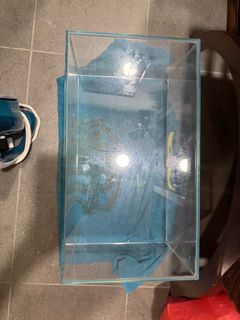 (Category: ) located in . Submitted by preciousgift1901 (Listing ID 1360817341, Image 1). Description: .