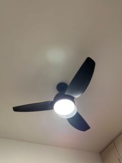 (Category: ) located in . Submitted by tanu223599 (Listing ID 1360875626, Image 1). Description: .