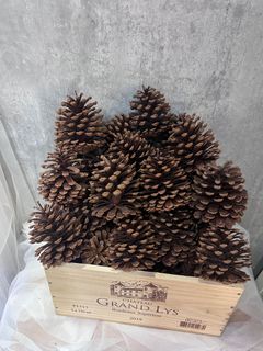 （分類：）位於 。 由 dingding523 提交（商品編號 1305587651，圖片 1）。簡介： 。