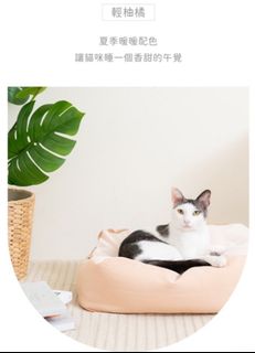 （分類：）位於 。 由 cat123tac 提交（商品編號 1356228362，圖片 1）。簡介： 。