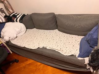 （分類：）位於 。 由 lukyuen22 提交（商品編號 1356194753，圖片 1）。簡介： 。