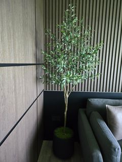 (Category: ) located in . Submitted by floweryeo (Listing ID 1356087959, Image 1). Description: .