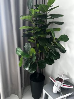 (Category: ) located in . Submitted by faraha92 (Listing ID 1356191748, Image 1). Description: .