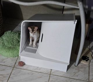 (Category: ) located in . Submitted by kfrances_ (Listing ID 1356211149, Image 1). Description: .