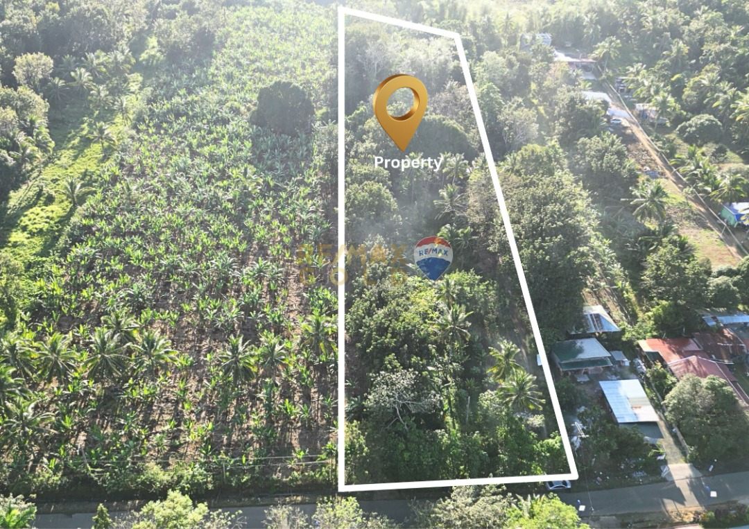 (Category: ) located in . Submitted by remax_goldph (Listing ID 1356079895, Image 1). Description: .