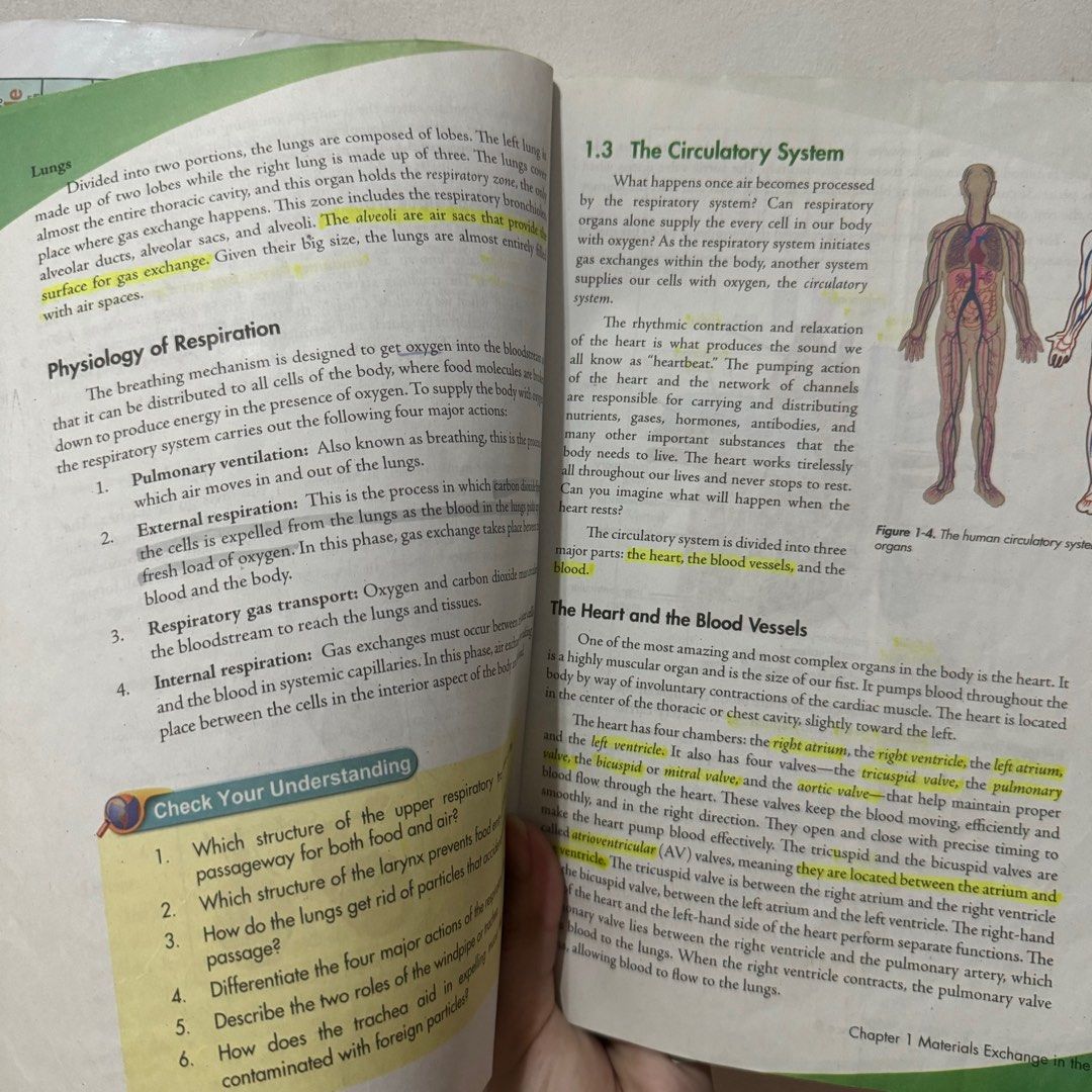 [Grade 9] Science Book (Category: Textbooks) located in Manila. Submitted by tkilla (Listing ID 1356188727, Image 3). Description: .