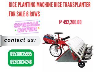Rice Planting Machine Rice Transplanter for Sale 6 rows