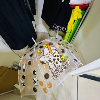 由 retro_21 (刊登 ID 1356185985，圖片 1) 提交，位於 的 (類別：)，說明：。