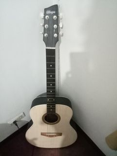 acoustic guitar for beginners
