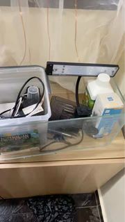 (Category: ) located in . Submitted by _ridh1 (Listing ID 1361109821, Image 1). Description: .