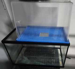 (Category: ) located in . Submitted by flash_sg (Listing ID 1360289747, Image 1). Description: .