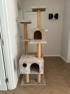 (Category: ) located in . Submitted by sneyball (Listing ID 1361047154, Image 1). Description: .