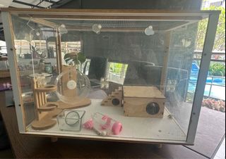 (Category: ) located in . Submitted by etv18 (Listing ID 1361133957, Image 1). Description: .