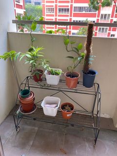 (Category: ) located in . Submitted by gianna71 (Listing ID 1361081438, Image 1). Description: .