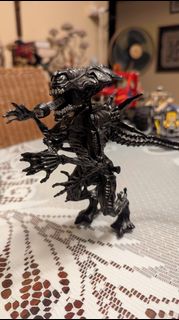 (Category: ) located in . Submitted by jerryberry8 (Listing ID 1361180252, Image 1). Description: .