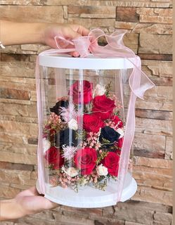 (Category: ) located in . Submitted by ymfloristry (Listing ID 1361070918, Image 1). Description: .