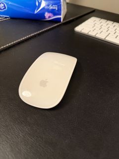 Apple Magic Mouse 263008260932866110