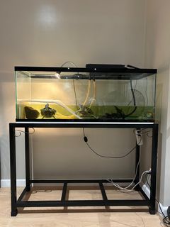 (Category: ) located in . Submitted by prelovedknt (Listing ID 1361329469, Image 1). Description: .