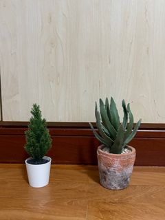 Mini tree For Sale Buy 100+ Mini tree online Carousell Singapore