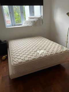 (Category: ) located in . Submitted by bexkolos (Listing ID 1361198754, Image 1). Description: .
