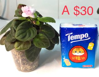 （分類：）位於 。 由 anthony456959 提交（商品編號 1361257573，圖片 1）。簡介： 。