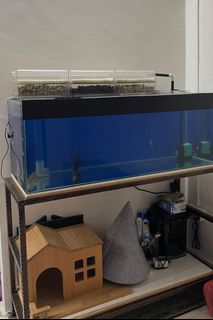 (Category: ) located in . Submitted by qafdl (Listing ID 1356373790, Image 1). Description: .