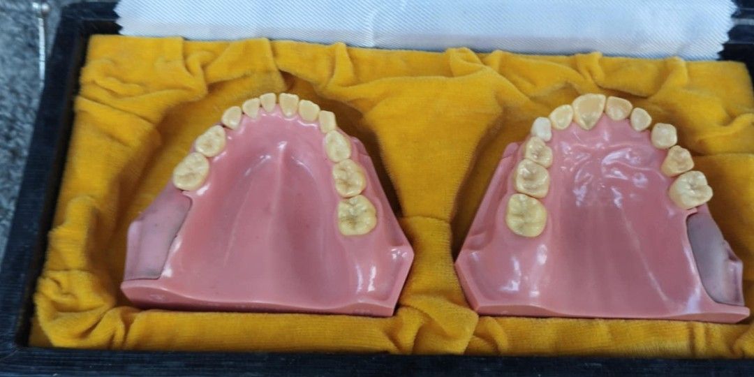 Dentistry Pediatric dentition dental development sample model P1- 6008 (Category: Medical Supplies & Tools) located in Manila. Submitted by benjie.benjie3 (Listing ID 1356346450, Image 1). Description: Dentistry Pediatric dentition dental development sample model P1- 6008 From Japan 2nd hand with scratch No warranty If there's Damage or Issues they can be seen in the last picture Price = 1,000 pesos My location is Malabon city Price does not incl