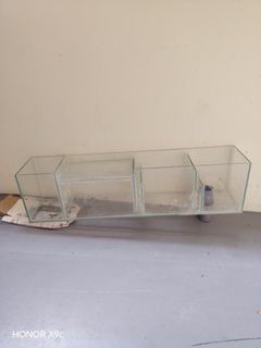 (Category: ) located in . Submitted by teddyfest (Listing ID 1356410180, Image 1). Description: .