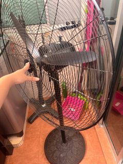 (Category: ) located in . Submitted by vvzzzz (Listing ID 1356314351, Image 1). Description: .