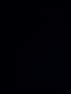 (Category: ) located in . Submitted by caroutest_jesse1741064750 (Listing ID 1356423021, Image 1). Description: .