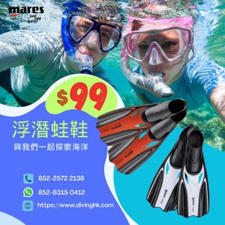（分類：）位於 。 由 divingadve57835 提交（商品編號 1356291702，圖片 1）。簡介： 。