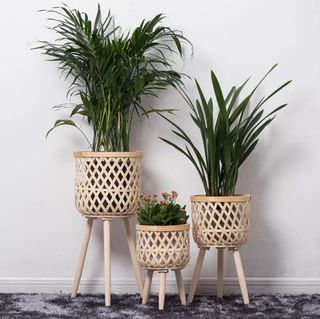 (Category: ) located in . Submitted by sarayangdesign (Listing ID 1356404648, Image 1). Description: .